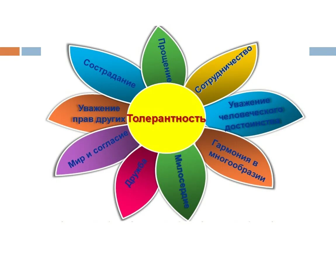 Картинка толерантность. Цветок толерантности Хельмут Лангер. День толерантности. Толерантность классный час. Классный час по толерантности.