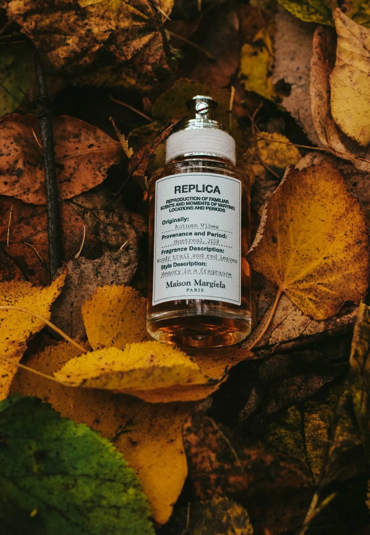Autumn vibes maison. Replica осень. maison autumn vibes. maison margiela replica autumn. осень флакон.