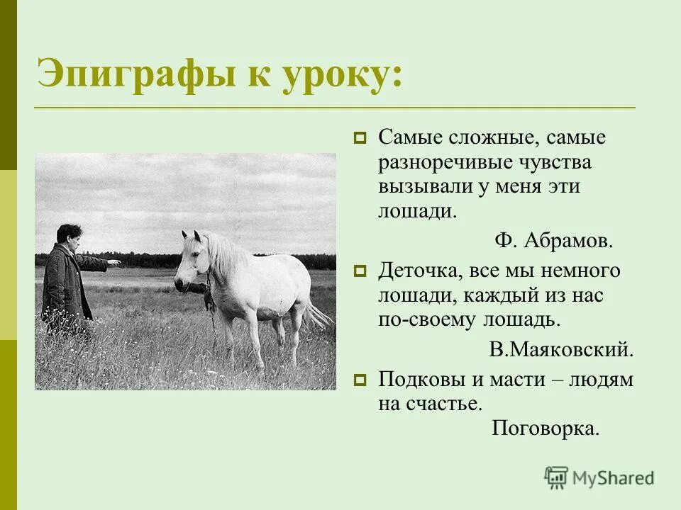 Главная мысль рассказа о чем плачут лошади. Деточка все мы немножко лошади. Деточка, все мы немного лошади, каждый из нас по-своему лошадь"? ￼. Все мы немного лошади каждый из нас по своему лошадь. О чём плачут лошади.