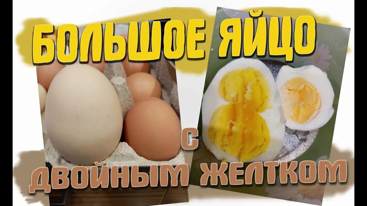 Два желтка примета. Двойной желток в яйце. Яйца двухжелтковые в упаковке. Шанс яйца с двойным желтком. Яйца с двойным желтком фирма.