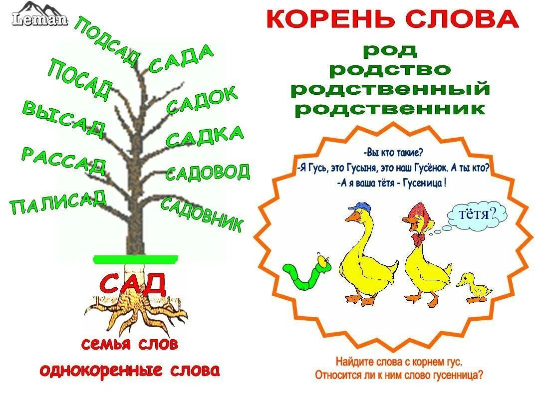 Корень слова. Однокоренные слова схема. Корень слова 2 класс. Корень слова рисунок