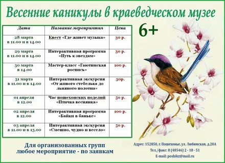 Программа весеннее предложение