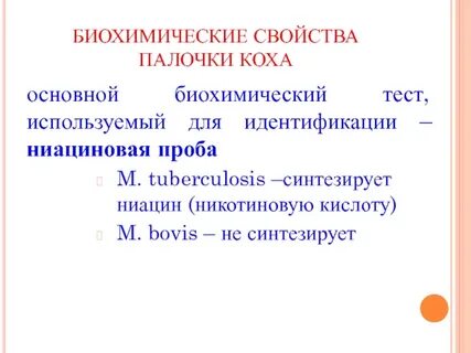 Характеристика палочек