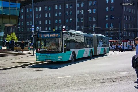 Tallinn bus