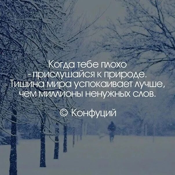 Лишних слов задавать. Когда тебе плохо прислушайся к природе тишина. Тишина цитаты. Цитаты про тишину и природу.