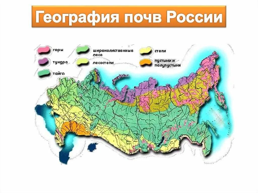 Почвы какой из перечисленных природных зон россии. Карта основных почв России. Основные типы почв России на карте. Типы почв России на карте 8 класс география. Карта почв России 8 класс.