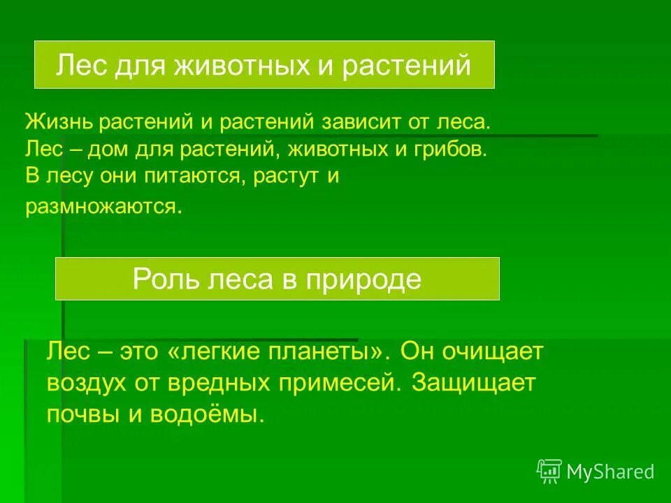 От чего зависит растительность. Взаимосвязь типов почв с климатом и растительностью. От чего зависит растительность. Растения длинного и короткого дня. Многообразие и среда обитания растений нашего региона.