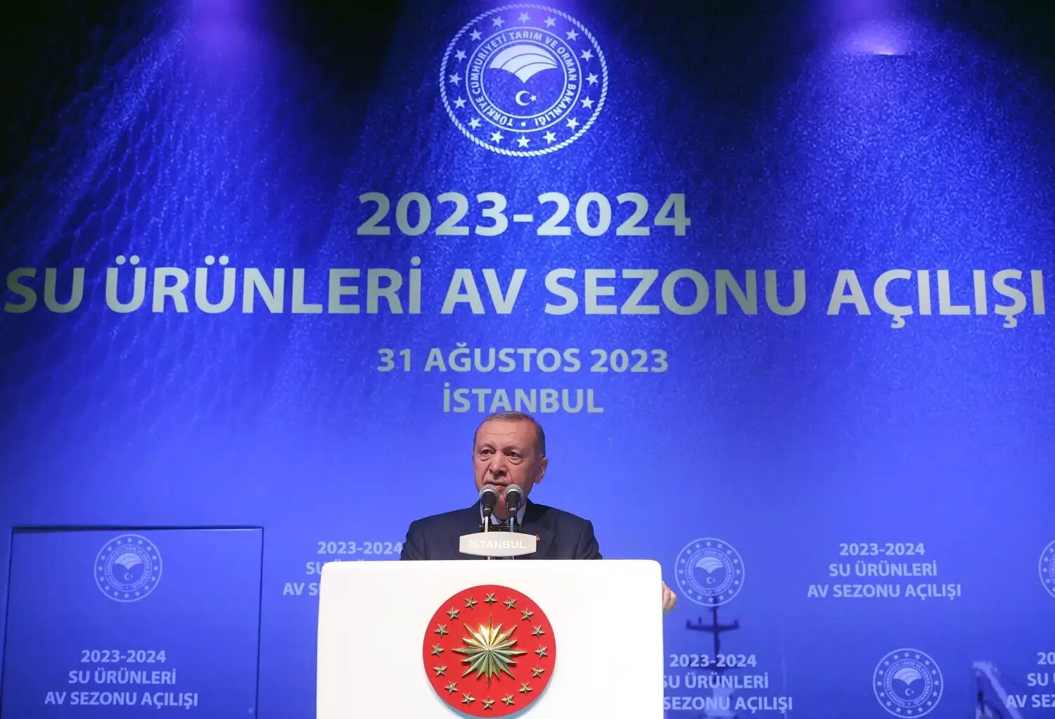 Ечл 2025 2025. Ечл 2025 2025