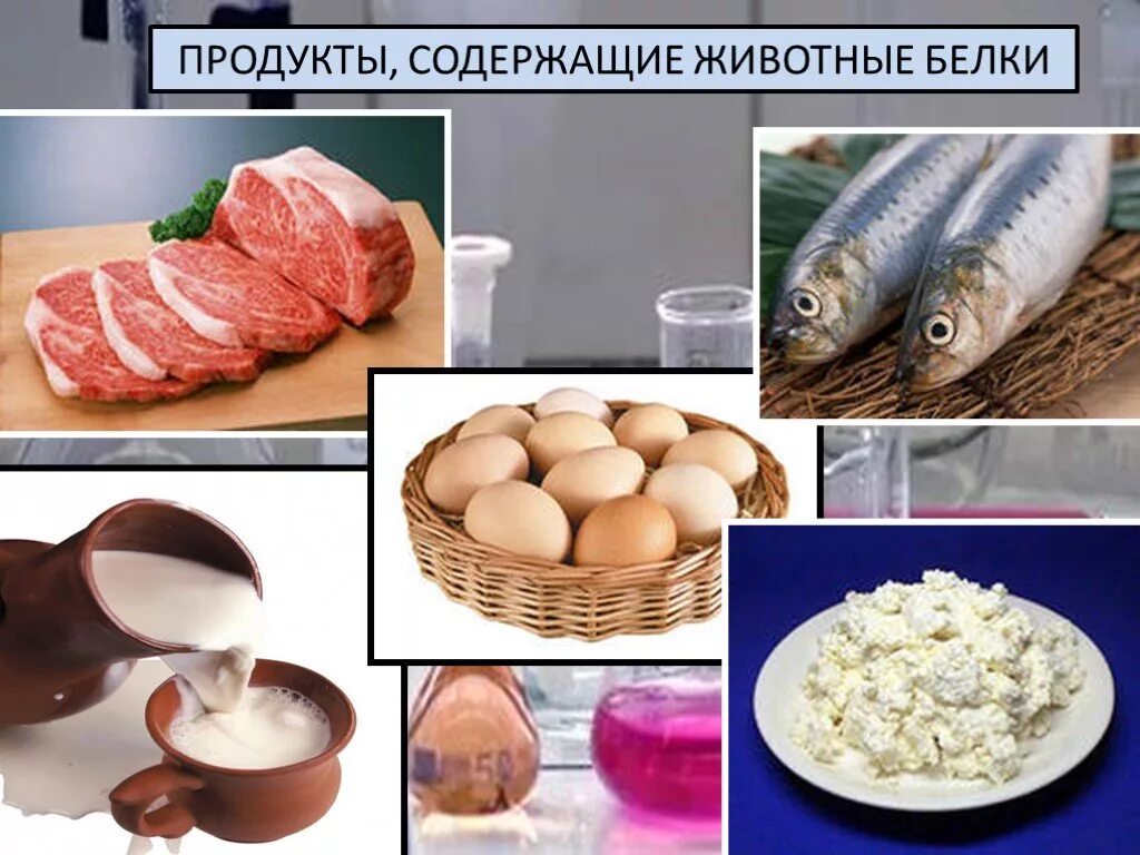 Надо кушать белок. Белки продукты. Белок в продуктах. Продукты содержащие животные белки. Белковые продукты.