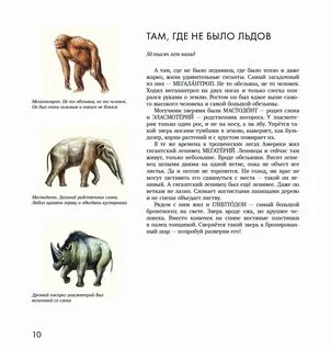 Родственники слонов
