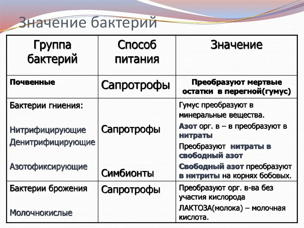 Таблица по биологии 5 класс бактерии. Группы бактерий таблица. Группа бактерий способ питания значение. Почвенные бактерии способ питания таблица 5.