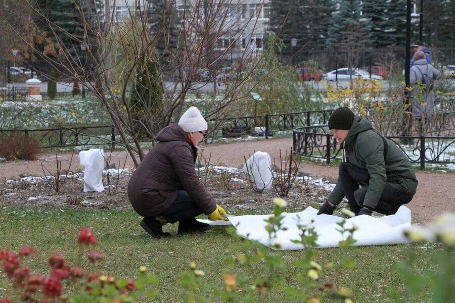 Почему закрывают садики. Карякинский сад Ярославль. Карякинский парк Рыбинск фонтан. Карякинский парк зимой Рыбинск. Хозяин Карякинского сада в Рыбинске.