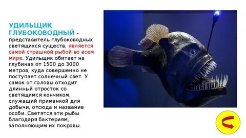Глубоководный как пишется
