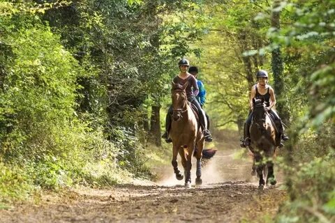 Riding training
