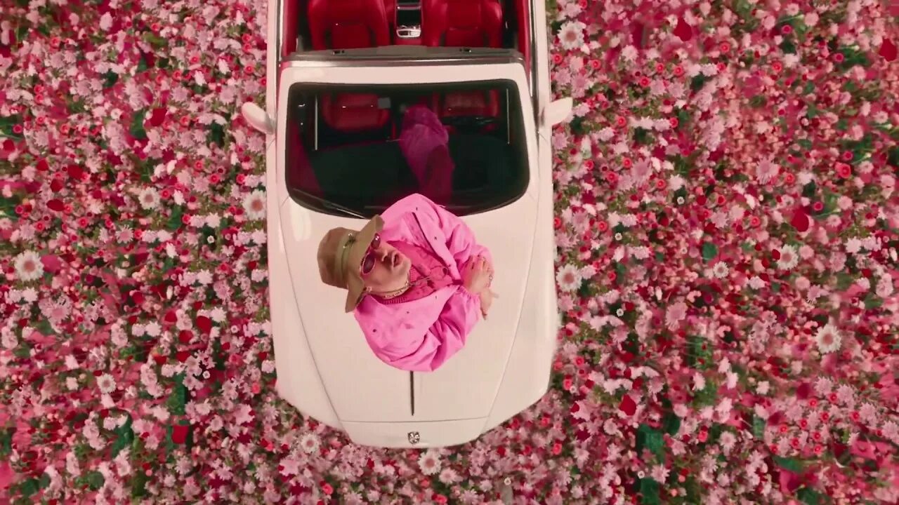 Yo bunny pop like this. Yo bunny pop like this. Bad bunny. Pop it зайчик. Bunny pop blast.