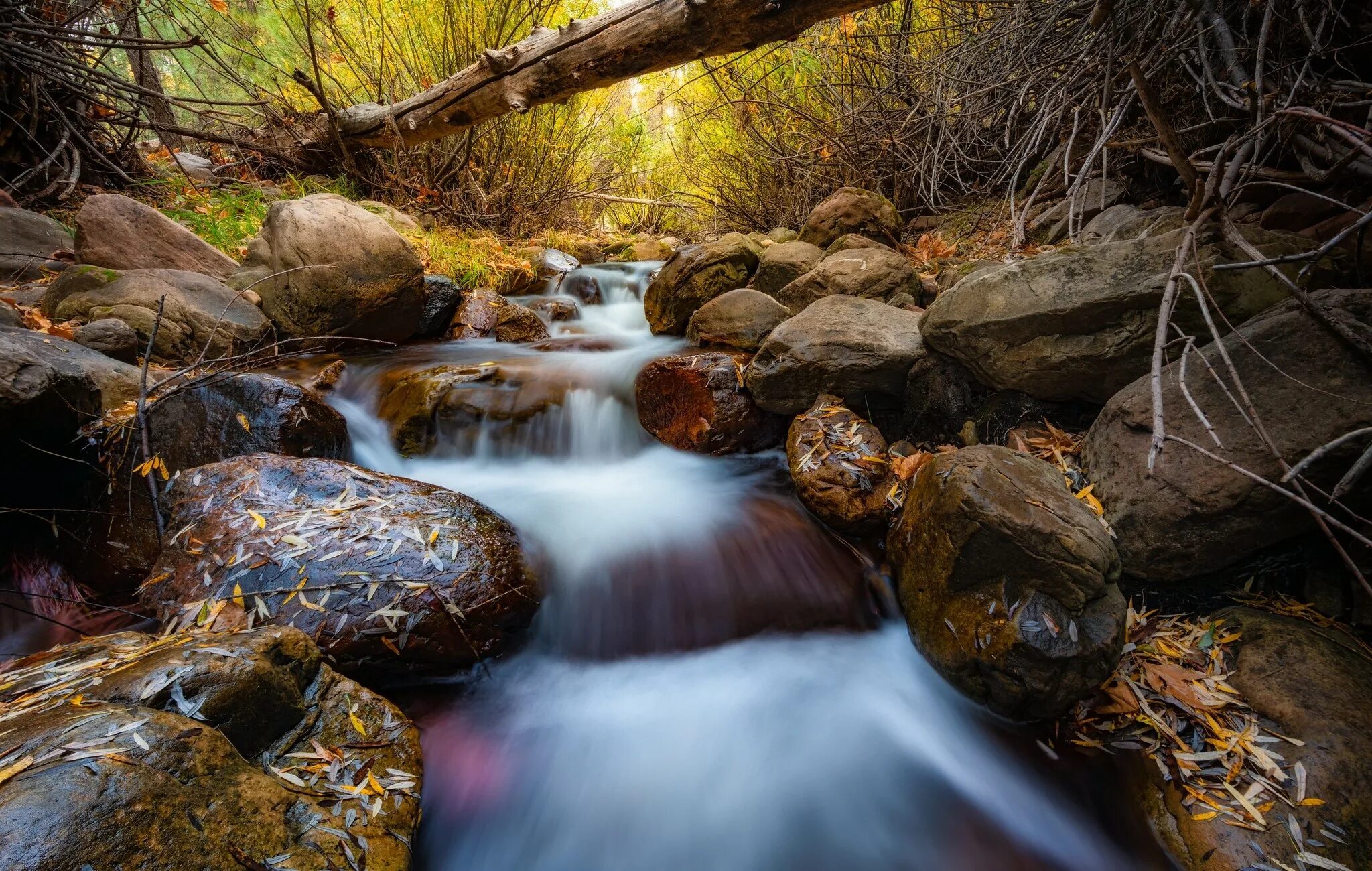 Stone fall. Лесная река. Камни в воде. Пейзаж с валунами и водой фото.