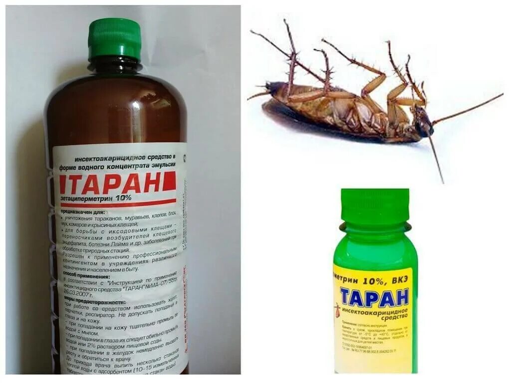 Отравление от тараканов симптомы. Средство от клопов карбофос. таран, ср-во от тараканов. от клопов и тараканов самое сильное средство. препараты от таракан и клопов проф.