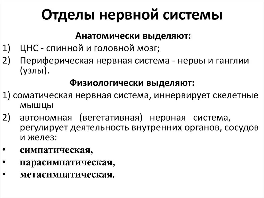 По каким принципам классифицируют отделы нервной. Перечислите отделы нервной системы. Jтделы нервной системы. Функции отделов нервной системы. Отделы нервной системы человека и их функции.