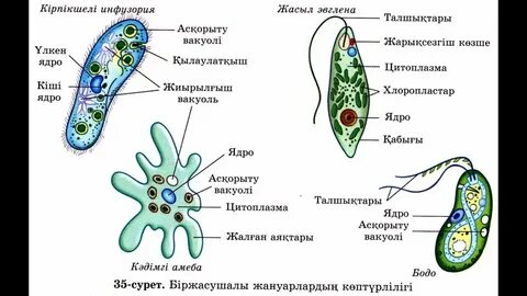 Снеговикпен ауыр анальный секс