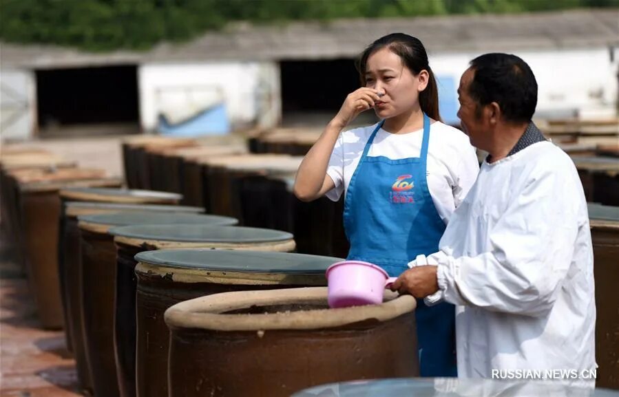 Изготовление соевого соуса. Соевый соус ферментация. Тао хуаби соус. Как делают соевый соус в китае. Как делают соевый соус в китае.