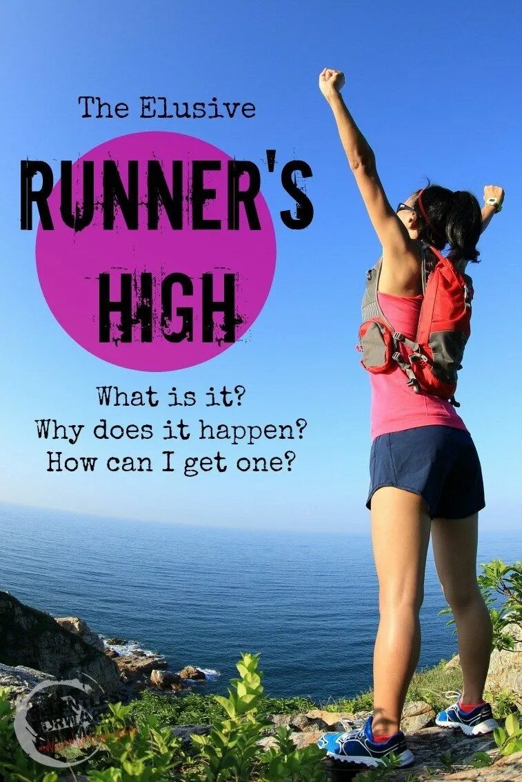 Run it s get. Runner&#039;s high. running high. how high can you run. a runner перевод на русский.