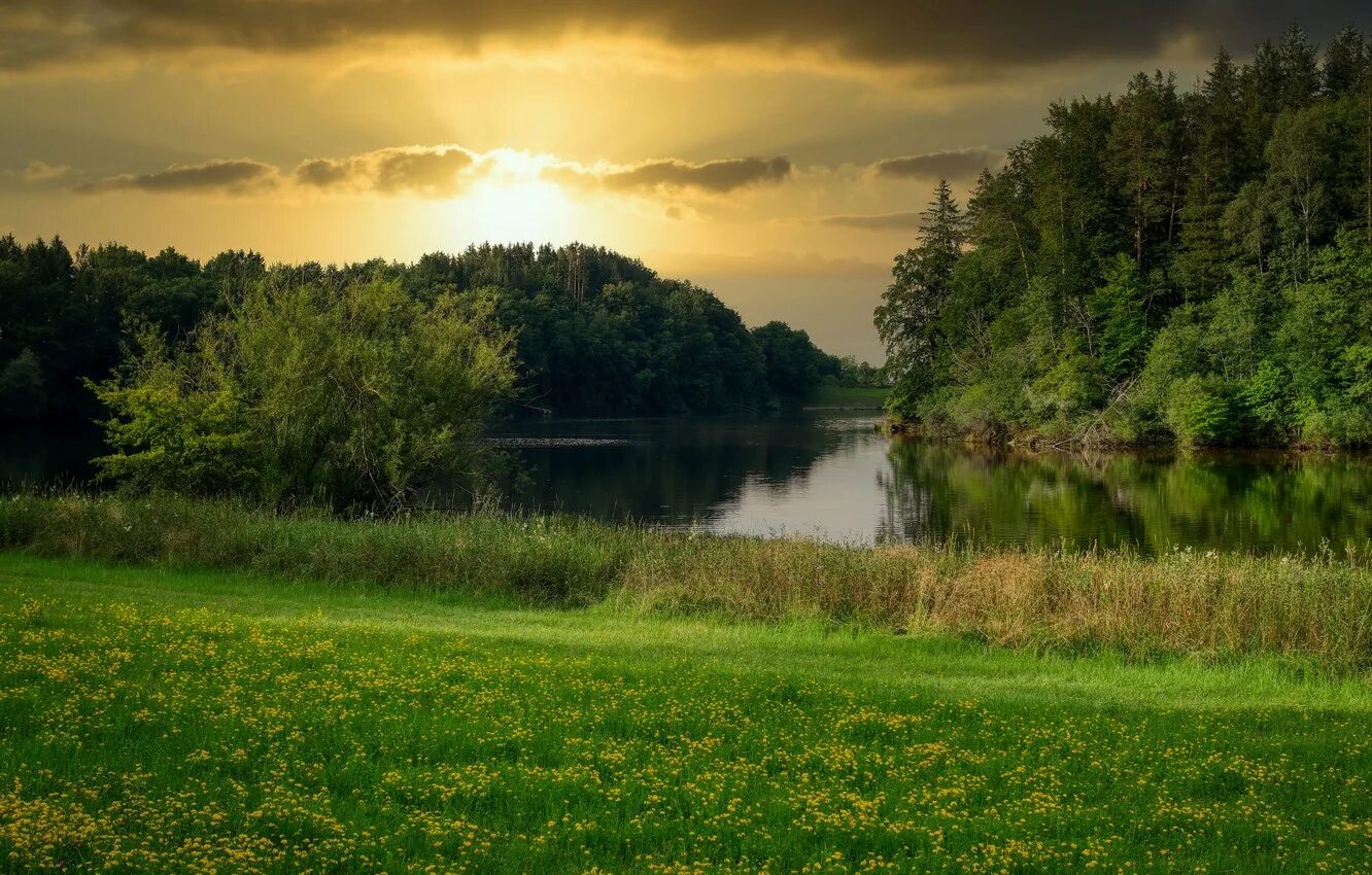 Осень озеро. Озеро полянское калужская область. Пруд в лесу. Пруд в лесу. Полянское озеро ленинградская область.