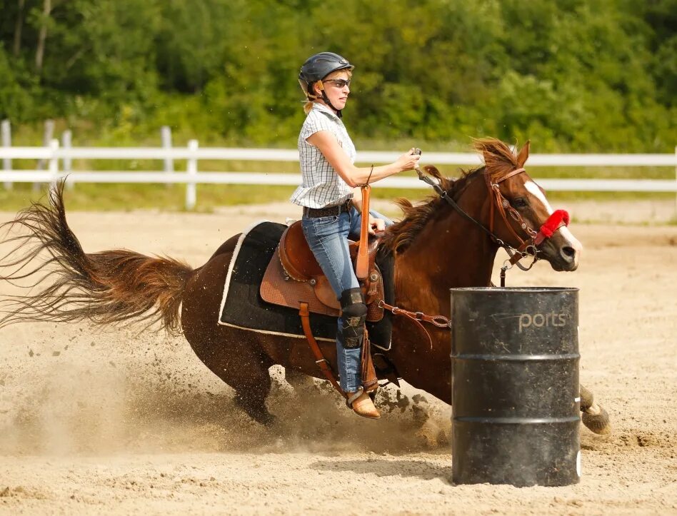 Кск перевести. Конюшня вестерн Хорс. Barrel Racing конный спорт. Вестерн конный спорт. Вестерн лошади соревнования.