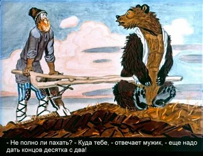 Медведь половинщик