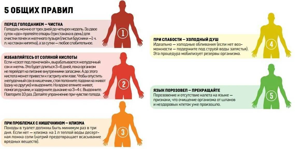 Схема выхода из голодания. Методика лечебного голодания.