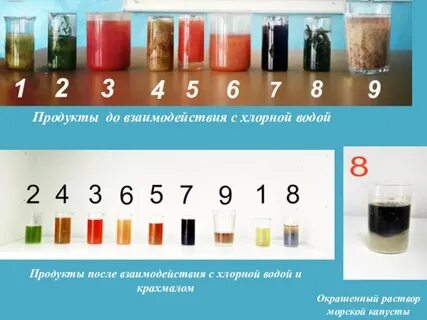 Хлорная вода