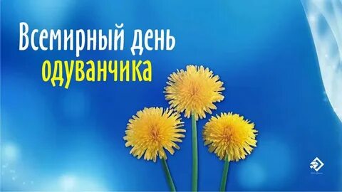 Когда будет желтый день