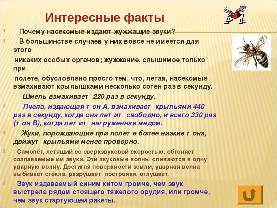 Сильное жужжание. Насекомые издающие звуки. Звуки звучания насекомые. Жужжащие звуки. Звук жужжащего насекомого.