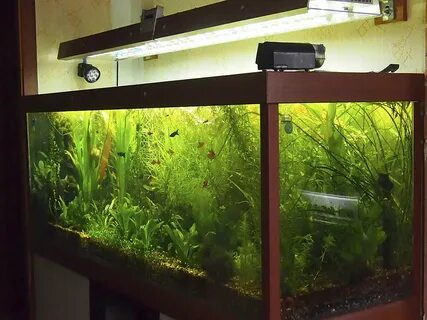 Можно ли использовать в аквариум