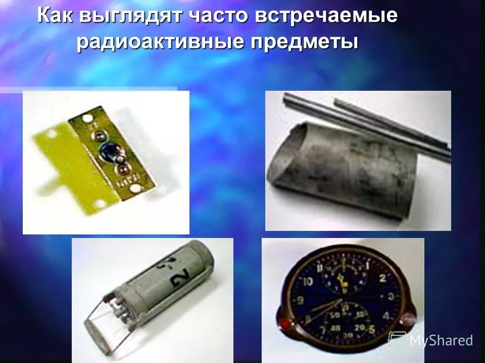 «лесная чаща в вероффе» гоген. Как выглядит чаще. Стадии зависимости. Как выглядит чаще. Еловый темный лес угра.