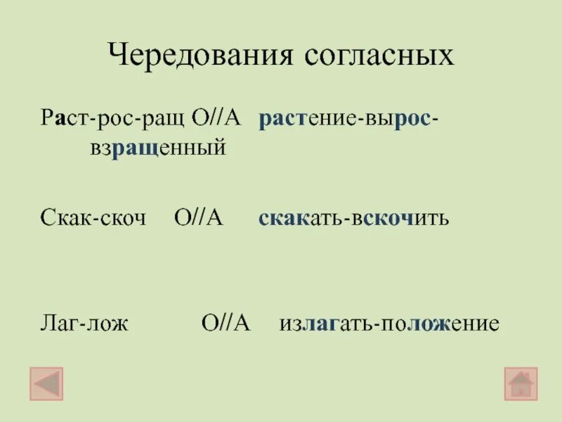 Слова в корне скак. Скак скоч корни с чередованием. Чередование гласных скак скоч. Корни с чередованием скак скоч примеры.