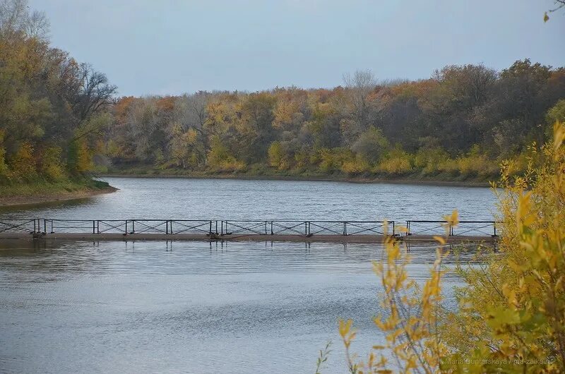 Криволучье Сура. Село Криволучье -Сура Саратовской области-. Криволучье Балаково. Криволучье Сура Балаковский. Балаково ивановка