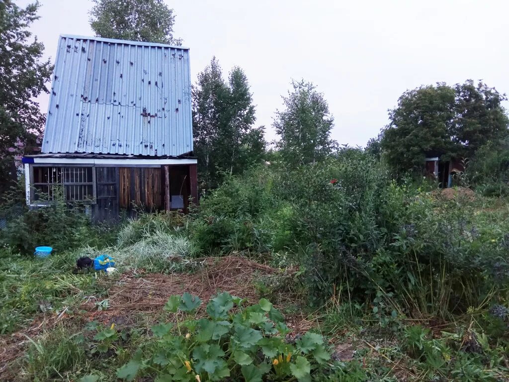 Садовое общество новосибирск. Снт труд новосибирск. Станция сады. Снт авиатор 1 пенза. Садовое общество новосибирск.