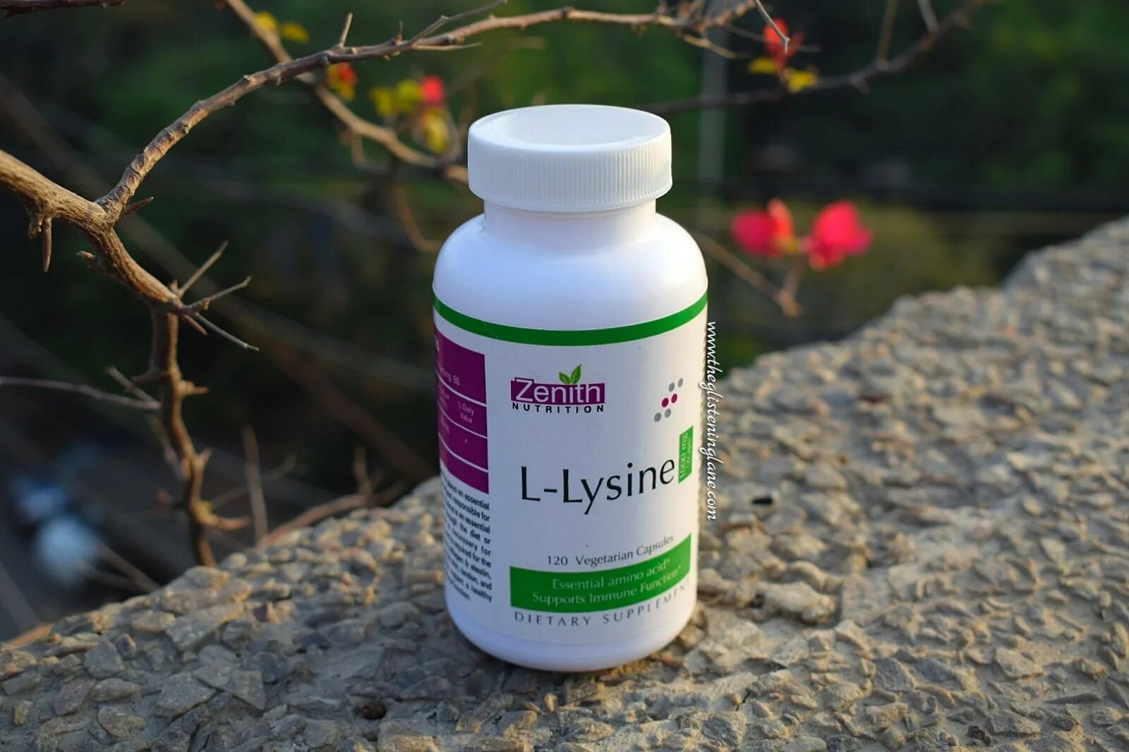 Lysine