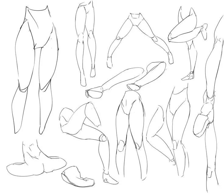 Leg reference