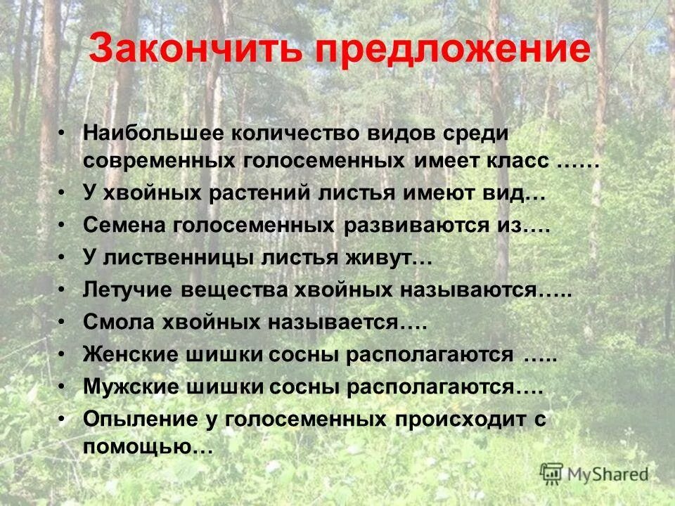 Каковы признаки голосеменных. Роль голосеменных в природе. Значение голосеменных растений. Голосеменные растения в природе. Значение голосеменных растений в природе.