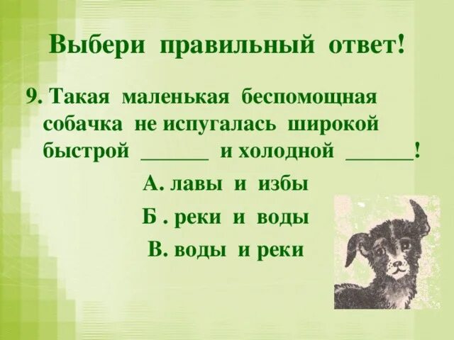 Белов малька провинилась план 3 класс. План рассказа еще про мальку. План рассказа еще про мальку 3 класс. Малек.