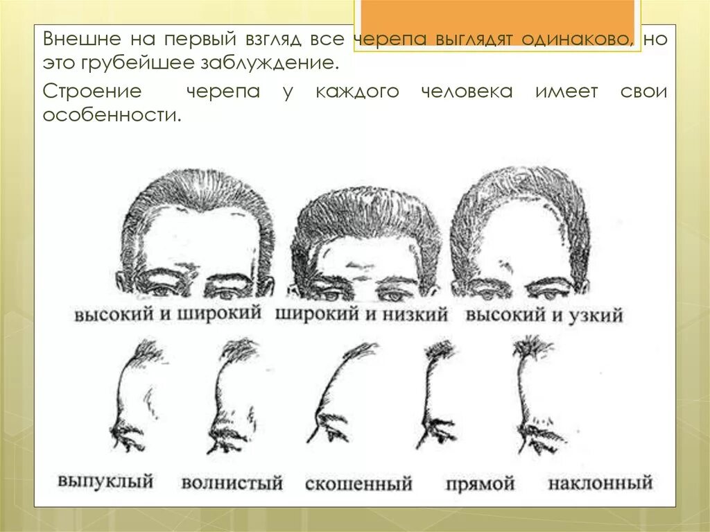 Лоб характер. Куполообразная форма черепа. Форма черепа физиогномика. Форма черепа затылка разных наций. Форма черепа криминалистика.