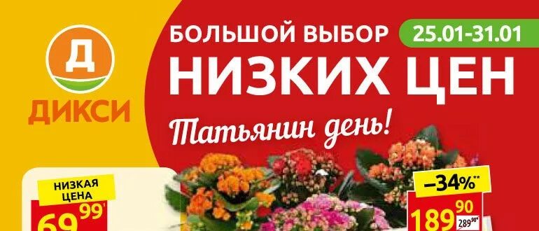 Дикси 50. Растение домашние в Дикси. Пятерочка магнит лента Дикси. Растение микс из Дикси.