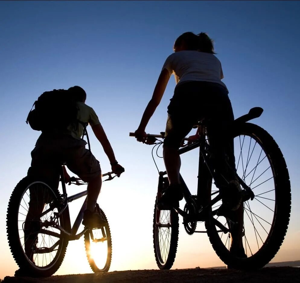 Где можно взять велосипед. Прогулка на велосипеде. Велосипед. Покататься на велосипеде. Парень на велосипеде.