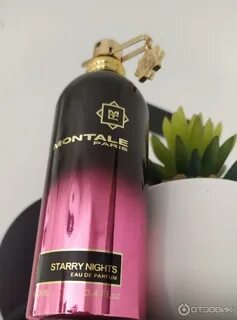 Montale starry nights