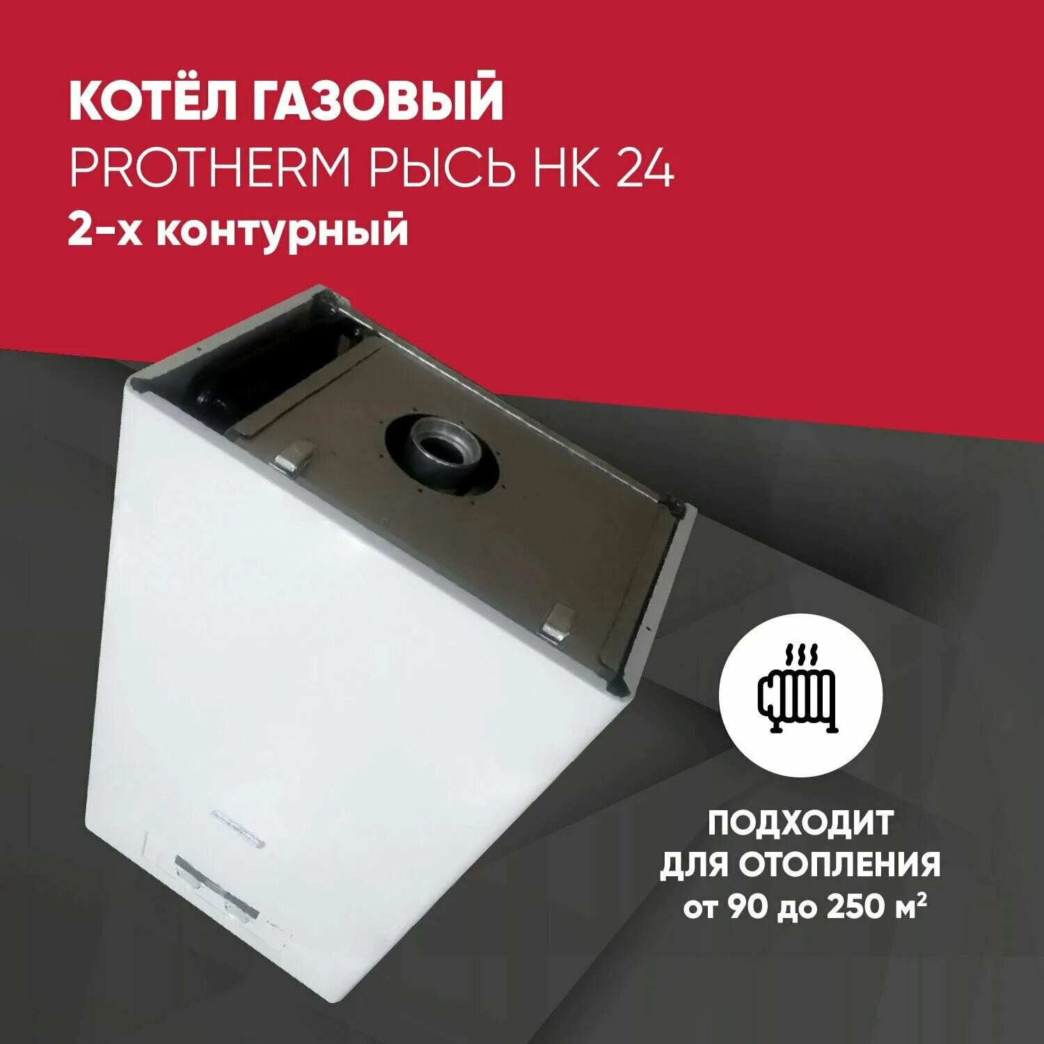 Газовый котел протерм рысь. Protherm Рысь HK 24. Котел Protherm HK 24 Рысь. Протерм Рысь НК 28. Protherm Lynx 24.