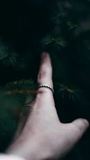 Руки как ветки