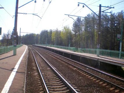 Погода подосинки дмитровский