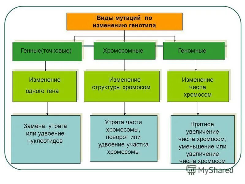 Существуют изменения. Типы мутационной изменчивости таблица. Типы мутационной изменчивости схема. Мутационная изменчивость схема. Типы мутаций и их причины.