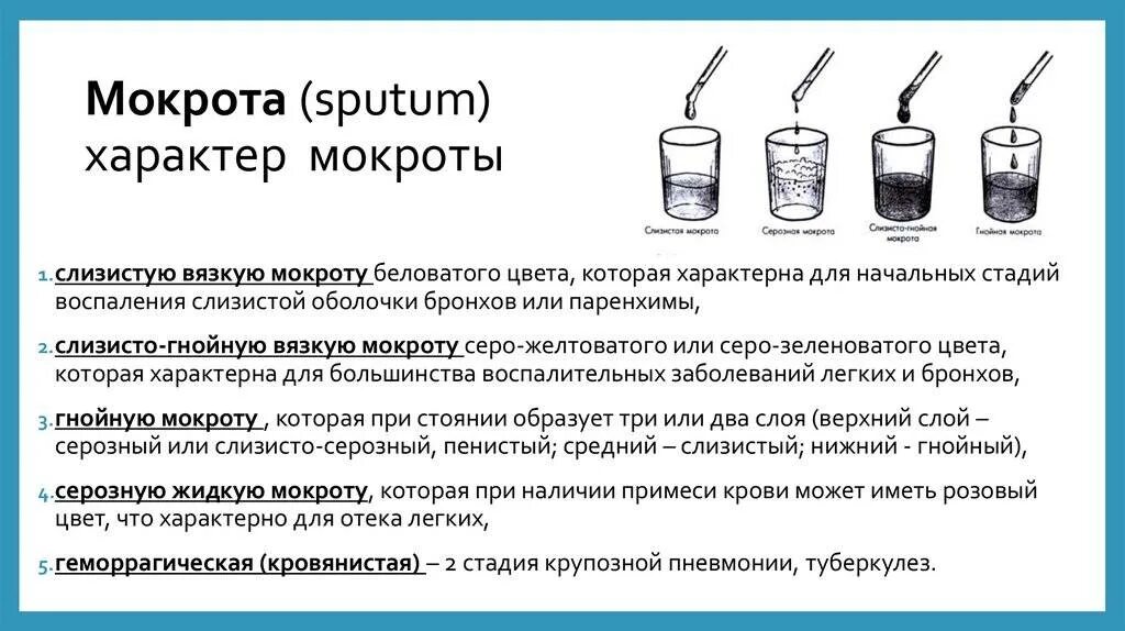 Характер мокроты при нагноительных заболеваниях лёгких. Характер слизистой мокроты. Типы мокроты при кашле.